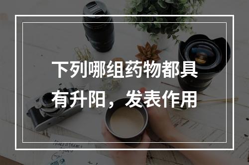 下列哪组药物都具有升阳，发表作用