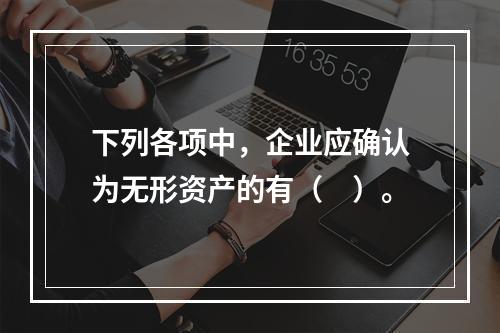 下列各项中，企业应确认为无形资产的有（　）。