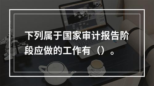 下列属于国家审计报告阶段应做的工作有（）。