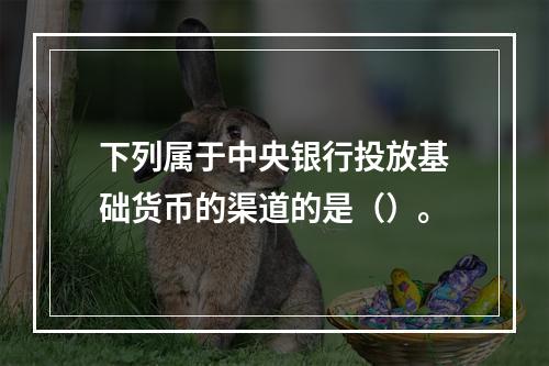 下列属于中央银行投放基础货币的渠道的是（）。