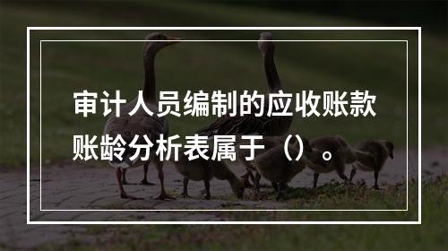 审计人员编制的应收账款账龄分析表属于（）。