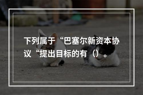 下列属于“巴塞尔新资本协议“提出目标的有（）。