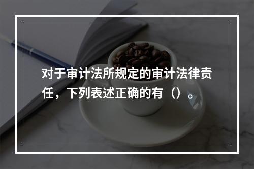 对于审计法所规定的审计法律责任，下列表述正确的有（）。