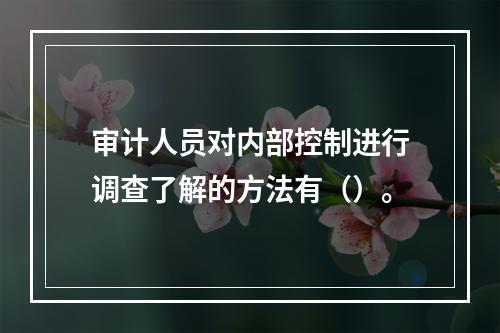 审计人员对内部控制进行调查了解的方法有（）。