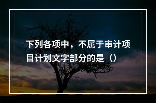 下列各项中，不属于审计项目计划文字部分的是（）