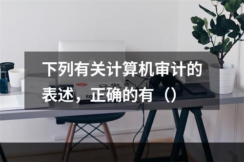 下列有关计算机审计的表述，正确的有（）