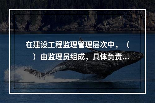 在建设工程监理管理层次中，（　　）由监理员组成，具体负责监