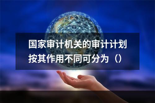 国家审计机关的审计计划按其作用不同可分为（）