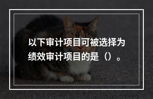 以下审计项目可被选择为绩效审计项目的是（）。