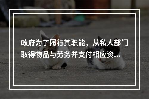 政府为了履行其职能，从私人部门取得物品与劳务并支付相应资金而