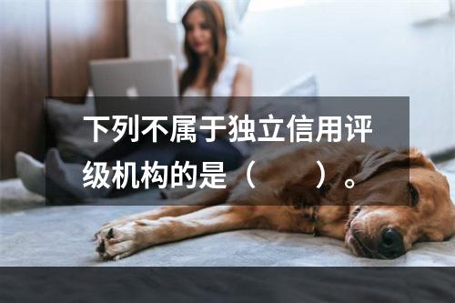 下列不属于独立信用评级机构的是（  ）。