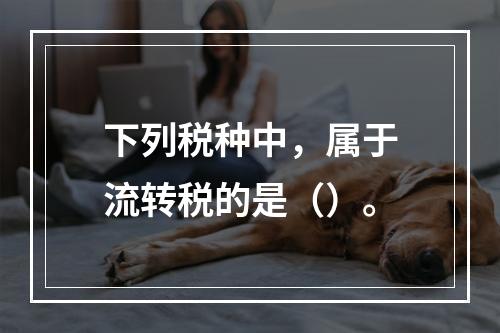 下列税种中，属于流转税的是（）。