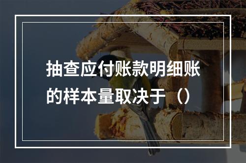 抽查应付账款明细账的样本量取决于（）