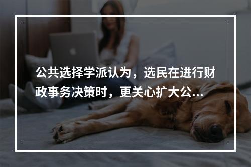 公共选择学派认为，选民在进行财政事务决策时，更关心扩大公共支