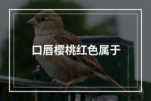 口唇樱桃红色属于