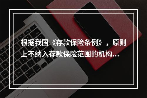 根据我国《存款保险条例》，原则上不纳入存款保险范围的机构是（