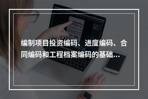 编制项目投资编码、进度编码、合同编码和工程档案编码的基础是（