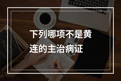 下列哪项不是黄连的主治病证