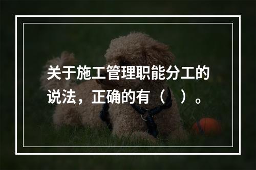 关于施工管理职能分工的说法，正确的有（　）。