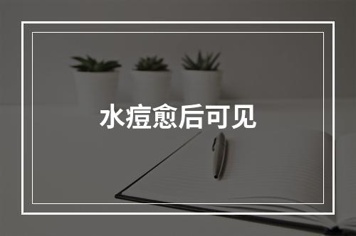 水痘愈后可见