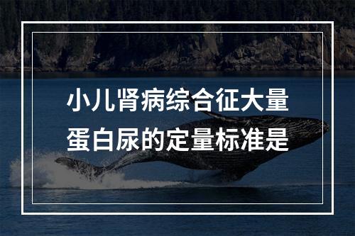 小儿肾病综合征大量蛋白尿的定量标准是