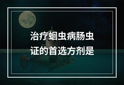 治疗蛔虫病肠虫证的首选方剂是