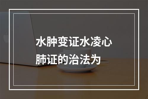 水肿变证水凌心肺证的治法为