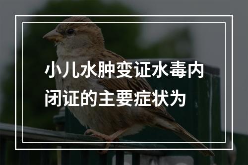 小儿水肿变证水毒内闭证的主要症状为