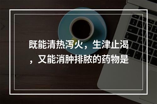 既能清热泻火，生津止渴，又能消肿排脓的药物是