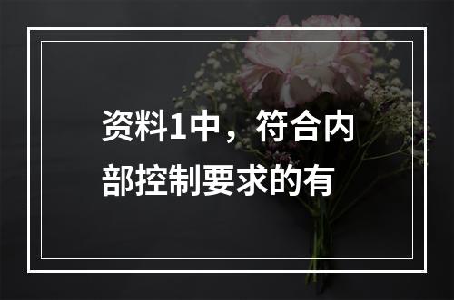 资料1中，符合内部控制要求的有