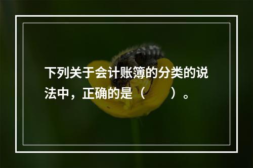 下列关于会计账簿的分类的说法中，正确的是（　　）。