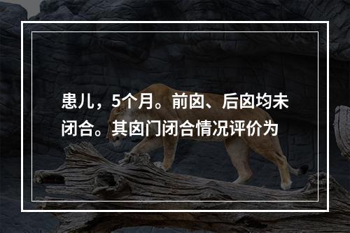 患儿，5个月。前囟、后囟均未闭合。其囟门闭合情况评价为