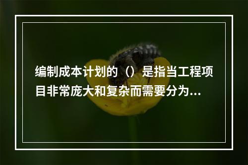 编制成本计划的（）是指当工程项目非常庞大和复杂而需要分为几个