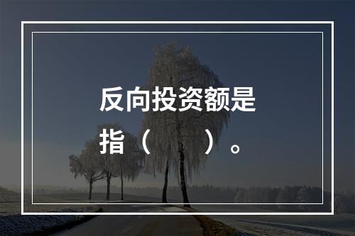 反向投资额是指（　　）。