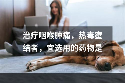 治疗咽喉肿痛，热毒壅结者，宜选用的药物是