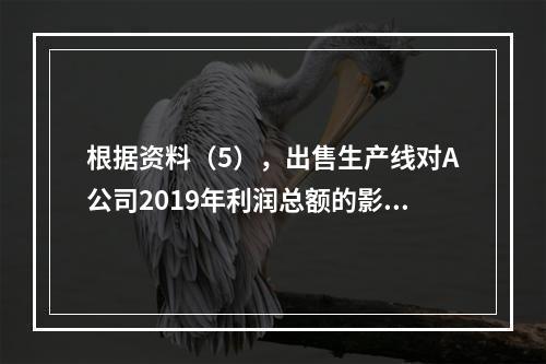 根据资料（5），出售生产线对A公司2019年利润总额的影响金