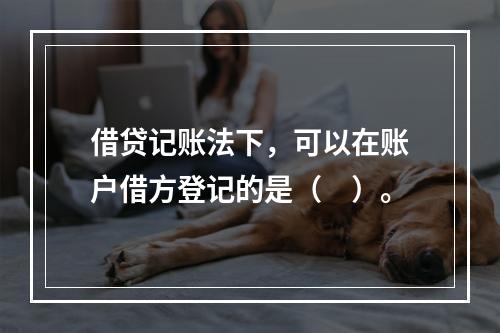 借贷记账法下，可以在账户借方登记的是（　）。