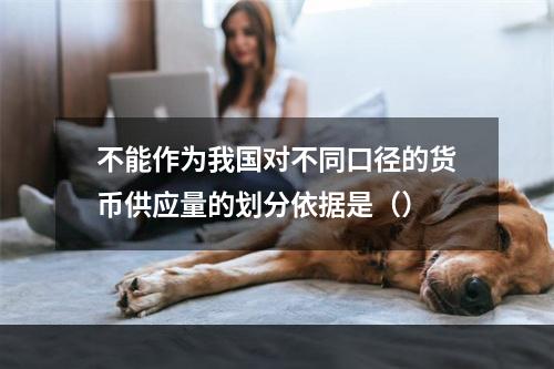 不能作为我国对不同口径的货币供应量的划分依据是（）