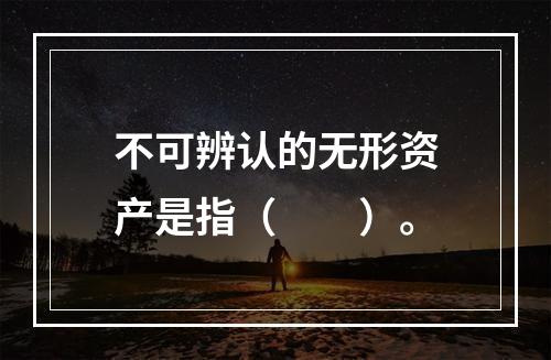 不可辨认的无形资产是指（　　）。