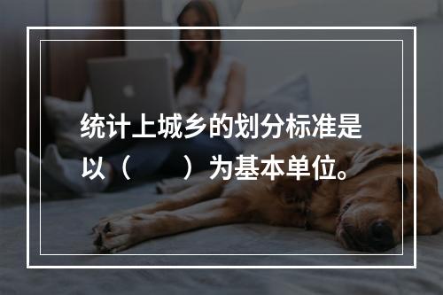 统计上城乡的划分标准是以（　　）为基本单位。