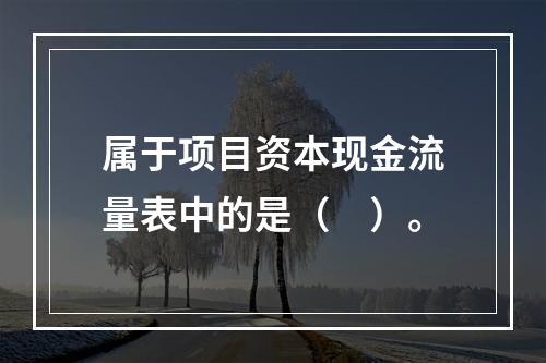 属于项目资本现金流量表中的是（　）。