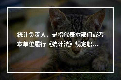 统计负责人，是指代表本部门或者本单位履行《统计法》规定职责