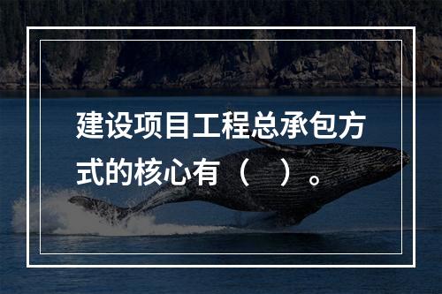 建设项目工程总承包方式的核心有（　）。