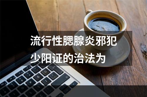 流行性腮腺炎邪犯少阳证的治法为