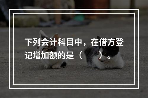 下列会计科目中，在借方登记增加额的是（　　）。