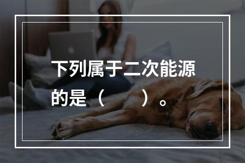 下列属于二次能源的是（　　）。