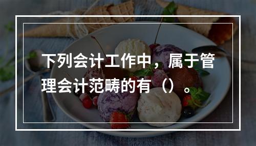 下列会计工作中，属于管理会计范畴的有（）。