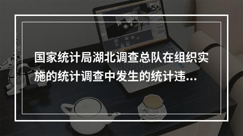 国家统计局湖北调查总队在组织实施的统计调查中发生的统计违法案