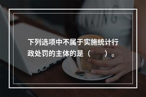 下列选项中不属于实施统计行政处罚的主体的是（　　）。