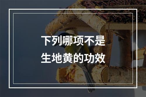 下列哪项不是生地黄的功效